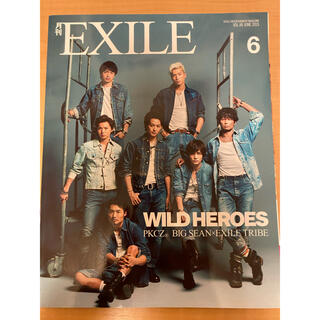 サンダイメジェイソウルブラザーズ(三代目 J Soul Brothers)の月刊EXILE(音楽/芸能)