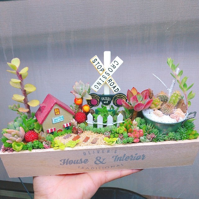 ちぃ様 専用  多肉植物 寄せ植え ハンドメイドのフラワー/ガーデン(その他)の商品写真