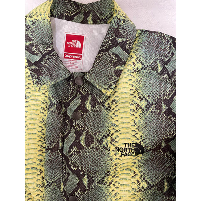 supreme the north face snakeskin セットアップ！