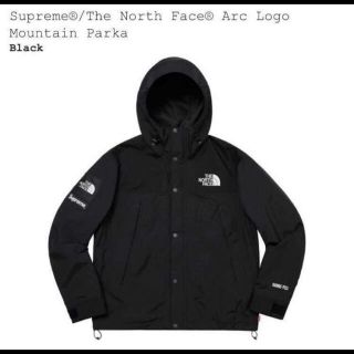 シュプリーム(Supreme)のTHE NORTH FACE Supreme Mountain Parka  L(マウンテンパーカー)