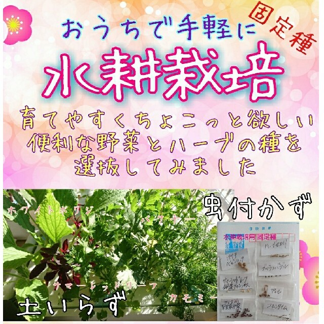 Mee様専用 食品/飲料/酒の食品(野菜)の商品写真