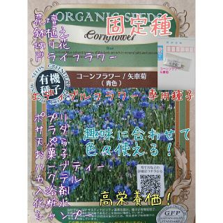 コーンフラワー エディブルフラワー 種子 固定種 家庭菜園 野菜の種 水耕栽培(野菜)