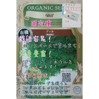 ディル 固定種 野菜の種 ハーブの種 水耕栽培 家庭菜園 プランター 種子 種(野菜)