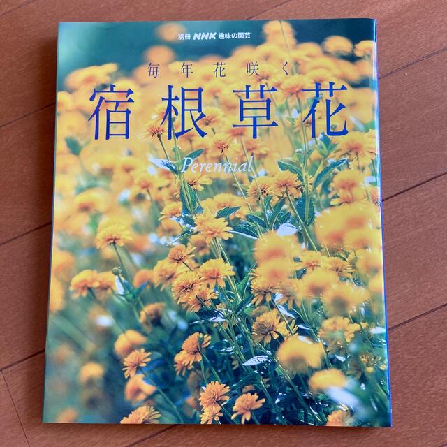 毎年花咲く宿根草花　別冊NHK趣味の園芸 エンタメ/ホビーの本(趣味/スポーツ/実用)の商品写真