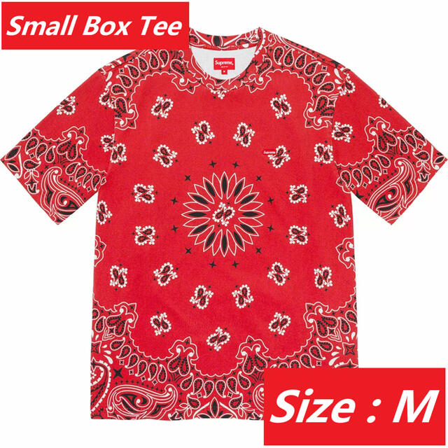 Supreme(シュプリーム)のSupreme® / Small Box Tee / M メンズのトップス(Tシャツ/カットソー(半袖/袖なし))の商品写真