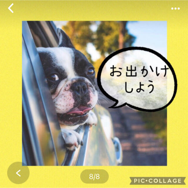 ペットと車を守るカーシート 犬用&ペット用 ゆったりサイズ　2色有り その他のペット用品(犬)の商品写真