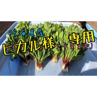 1.5キロ ヒカル様専用(野菜)