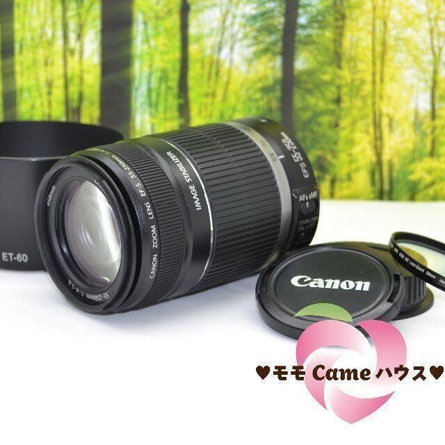 Canon EF-S 55-250mm 望遠ズームレンズ 手ブレ補正付き