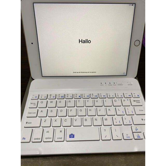 iPad(アイパッド)のiPad mini4 128GB WiFiモデル【中古】 スマホ/家電/カメラのPC/タブレット(タブレット)の商品写真