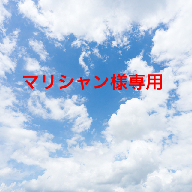 マリシャン様専用ページ コスメ/美容のスキンケア/基礎化粧品(クレンジング/メイク落とし)の商品写真