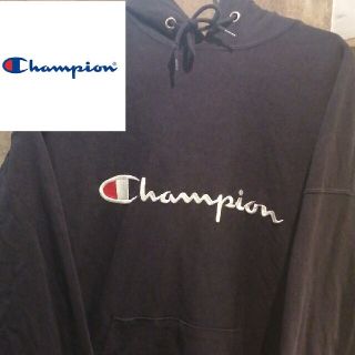 【リバースウィーブ】championロゴパーカー　STUSSY GDC FR2