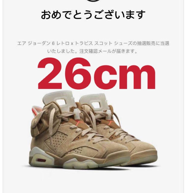 靴/シューズAIR JORDAN6 TRAVIS SCOTT