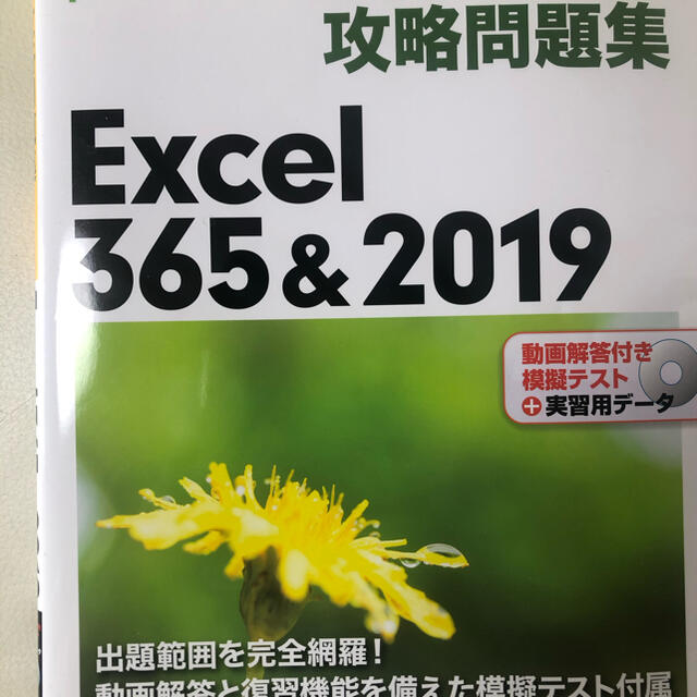 日経BP(ニッケイビーピー)のＭＯＳ攻略問題集Ｅｘｃｅｌ３６５＆２０１９　ミミー様専用 エンタメ/ホビーの本(コンピュータ/IT)の商品写真