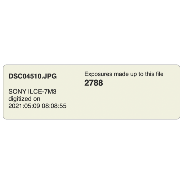 SONY(ソニー)のSony a7III ILCE-7M3 保証書未使用 ショット数2788枚 スマホ/家電/カメラのカメラ(ミラーレス一眼)の商品写真