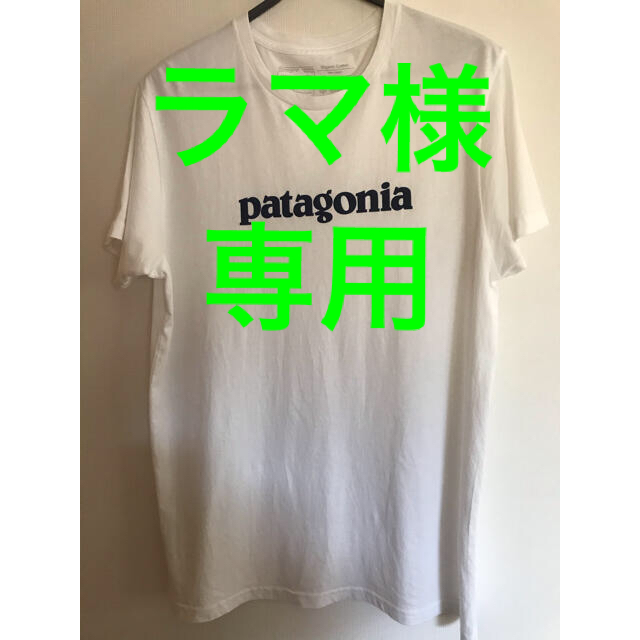 patagonia(パタゴニア)のPatagonia パタゴニア　Tシャツ　サイズL メンズのトップス(Tシャツ/カットソー(半袖/袖なし))の商品写真