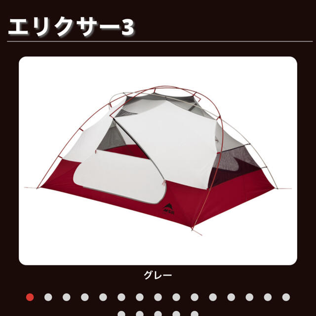 MSR(エムエスアール)のmsr エリクサー3 msr elixir3 tent テント ヨーロッパモデル スポーツ/アウトドアのアウトドア(テント/タープ)の商品写真