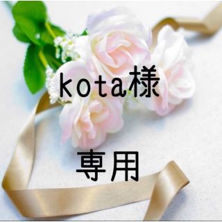 kota様専用 お米　令和２年　愛媛県産コシヒカリ　白米　20㎏(米/穀物)