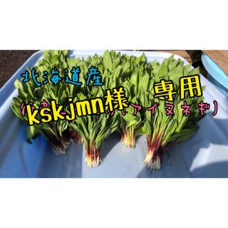 1.5キロ+a kskjmn様専用(野菜)