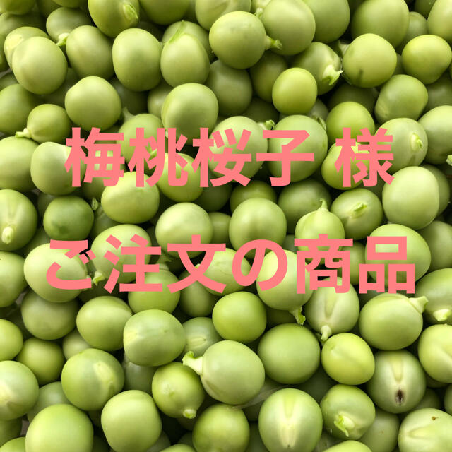 ⭐️無農薬⭐️ウスイエンドウ2kg(専用商品) 食品/飲料/酒の食品(野菜)の商品写真