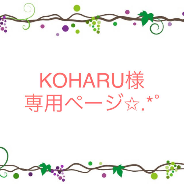 豪華で新しい koharu様 専用ページ alamocirugiaplastica.com