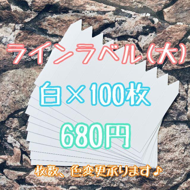 ◎ 100枚 ◎ 白 ( 大 ) ラインラベル 園芸ラベル カラーラベル ハンドメイドのフラワー/ガーデン(プランター)の商品写真