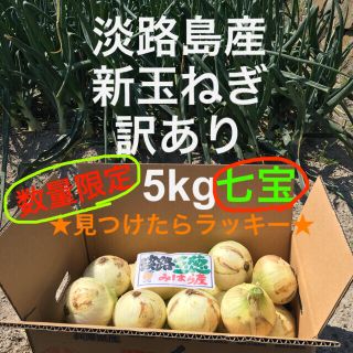 ★見つけたらラッキー★ 数量限定　淡路島産　新玉ねぎ　訳あり　5kg (野菜)