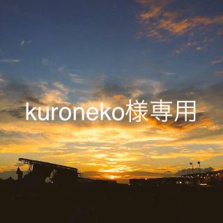 kuroneko様専用(その他)