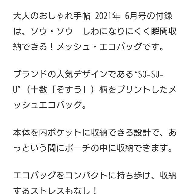 SOU・SOU(ソウソウ)の大人のおしゃれ手帖付録ソウソウメッシュエコバック レディースのバッグ(エコバッグ)の商品写真