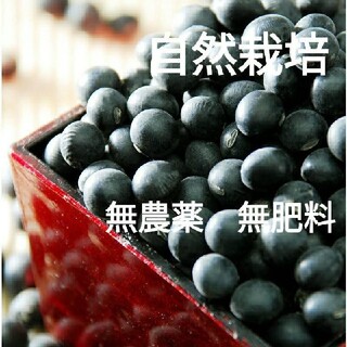 自然栽培　黒大豆　500g 　 農薬不使用　無肥料　自家採種　北海道産　(野菜)