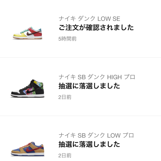 NIKE(ナイキ)のNIKE DUNK NIKE  LOW Free.99 ジュニア　25.0cm メンズの靴/シューズ(スニーカー)の商品写真