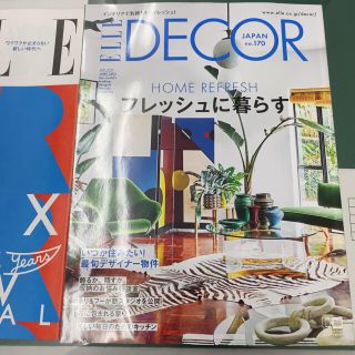 ELLE DECOR (エル・デコ) 2021年 06月号(生活/健康)