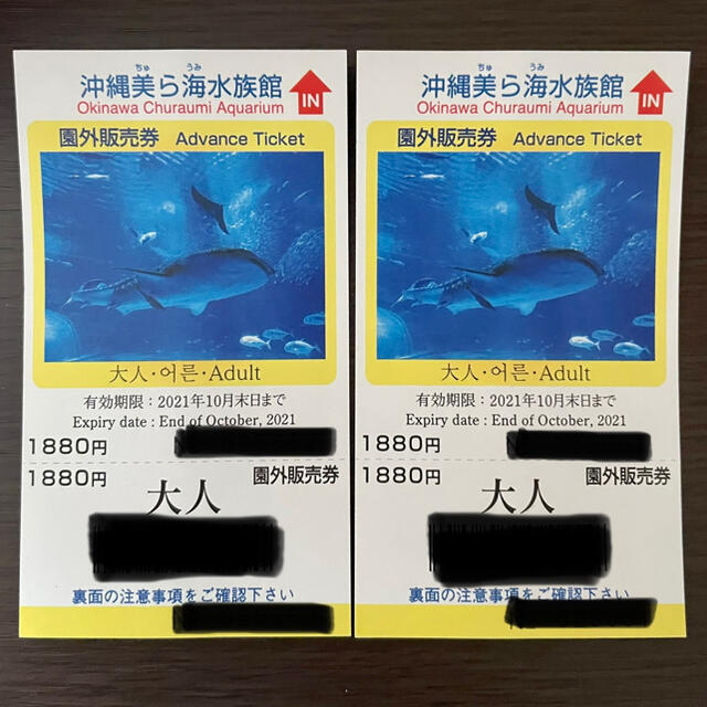 美ら海水族館チケット チケットの施設利用券(水族館)の商品写真