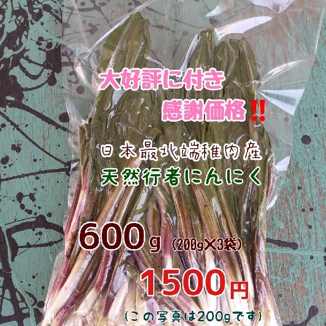 《大好評に付き感謝価格》　稚内産行者にんにく　600g 食品/飲料/酒の食品(野菜)の商品写真