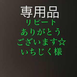 さびき 仕掛け針 2枚セット◉10号×2点 他より太く丈夫な糸 最安値 (釣り糸/ライン)