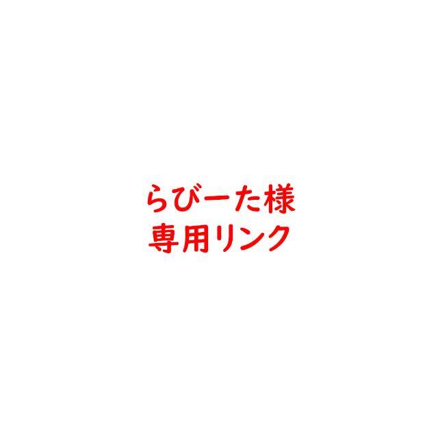 らびーた様 専用リンク エンタメ/ホビーのおもちゃ/ぬいぐるみ(模型/プラモデル)の商品写真