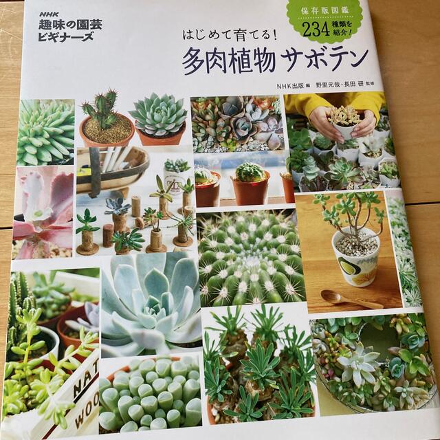 はじめて育てる！多肉植物サボテン エンタメ/ホビーの本(趣味/スポーツ/実用)の商品写真