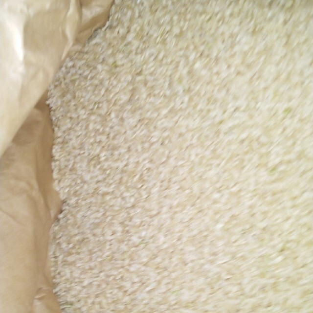 令和2年産栃木県特一等米コシヒカリ玄米30キロ無農薬にて、作ったお米です!! 7