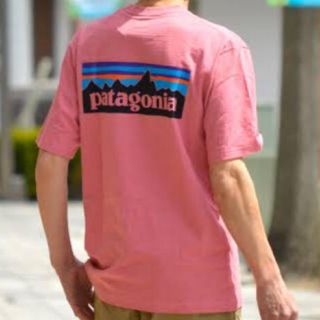 パタゴニア(patagonia)のパタゴニア　Tシャツ(Tシャツ(半袖/袖なし))