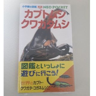 ショウガクカン(小学館)のカブトムシ・クワガタムシ　小学舘の図鑑　NEO POCKET(絵本/児童書)