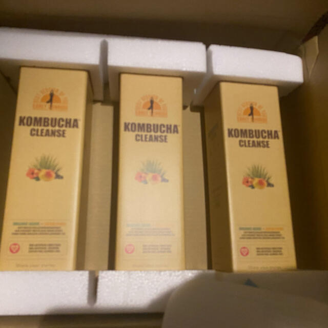 国内発送 ハーモニー様専用 ダイエット食品 - raffles.mn お買得ケース購入 Harmonyさま専用 打楽器