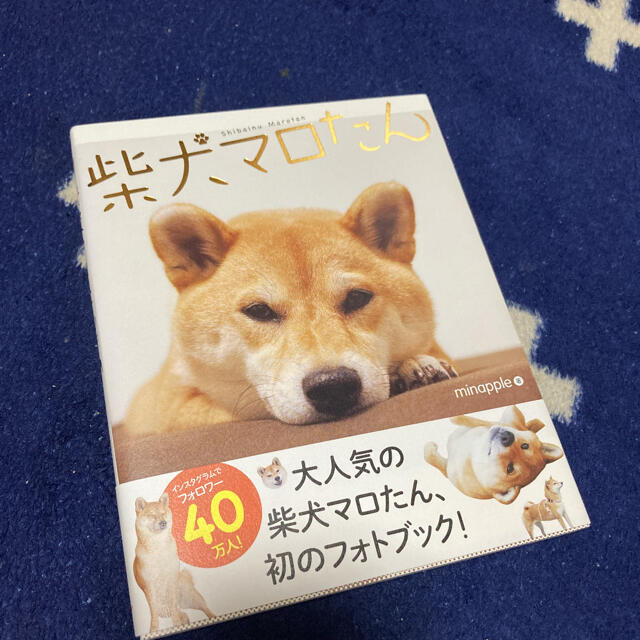 「柴犬マロたん」フォトブックと柴犬まるのポーチセット エンタメ/ホビーの本(趣味/スポーツ/実用)の商品写真