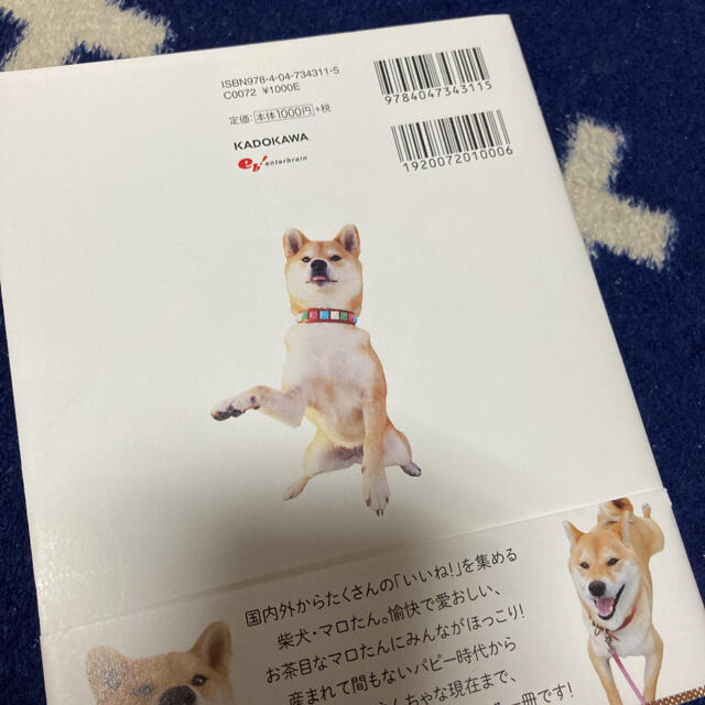 「柴犬マロたん」フォトブックと柴犬まるのポーチセット エンタメ/ホビーの本(趣味/スポーツ/実用)の商品写真