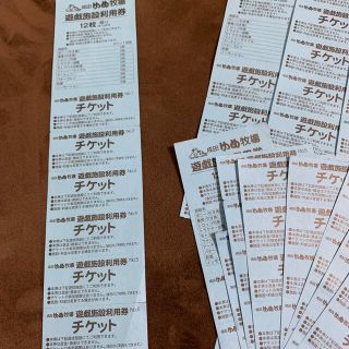 5/9までの限定出品！成田ゆめ牧場 遊戯チケット(遊園地/テーマパーク)