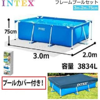 インデックス(INDEX)のCOSTCO INTEX インテックス ファミリーサイズ　フレームプール(その他)