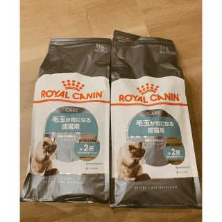 ロイヤルカナン(ROYAL CANIN)の★早い者勝ち！【即購入OK】新品 ロイヤルカナン　ヘアボールケア猫用2kg×2袋(ペットフード)