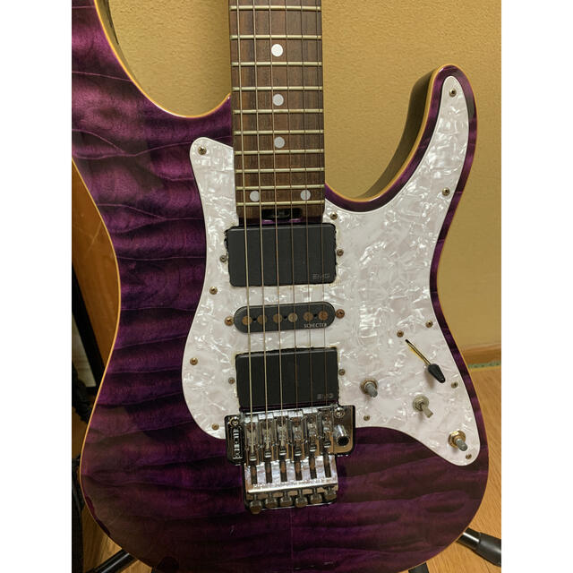 【エレキギター】SCHECTER SD-2 24 BW 改造品