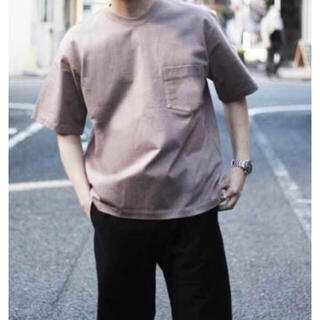 AURALEE 19SS STAND-UP TEE (PURPLE BROWN)(Tシャツ/カットソー(半袖/袖なし))
