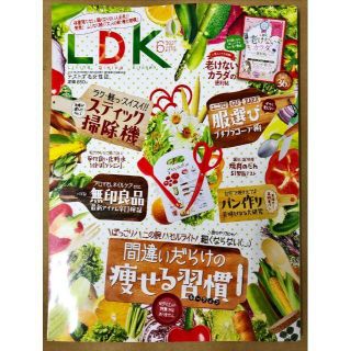 ＬＤＫ（エルディーケー）　2021年6月号(生活/健康)