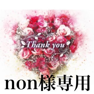 non様専用⭐︎（L）(ナイトドレス)