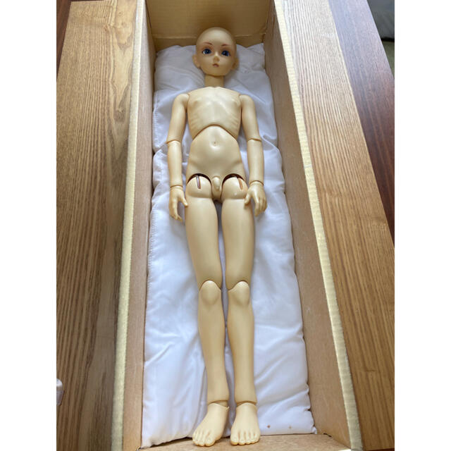 VOLKS - スーパードルフィー SD13少年 翔の通販 by ちい's shop
